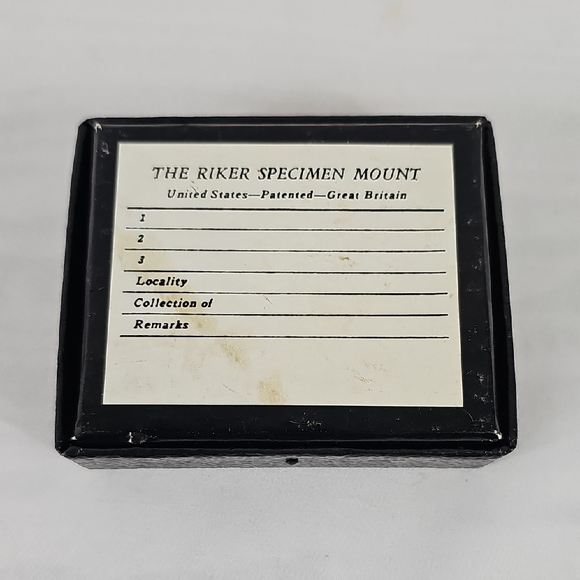 Fossil Sawfish Rostral Tooth Display - Picture 2 of 2